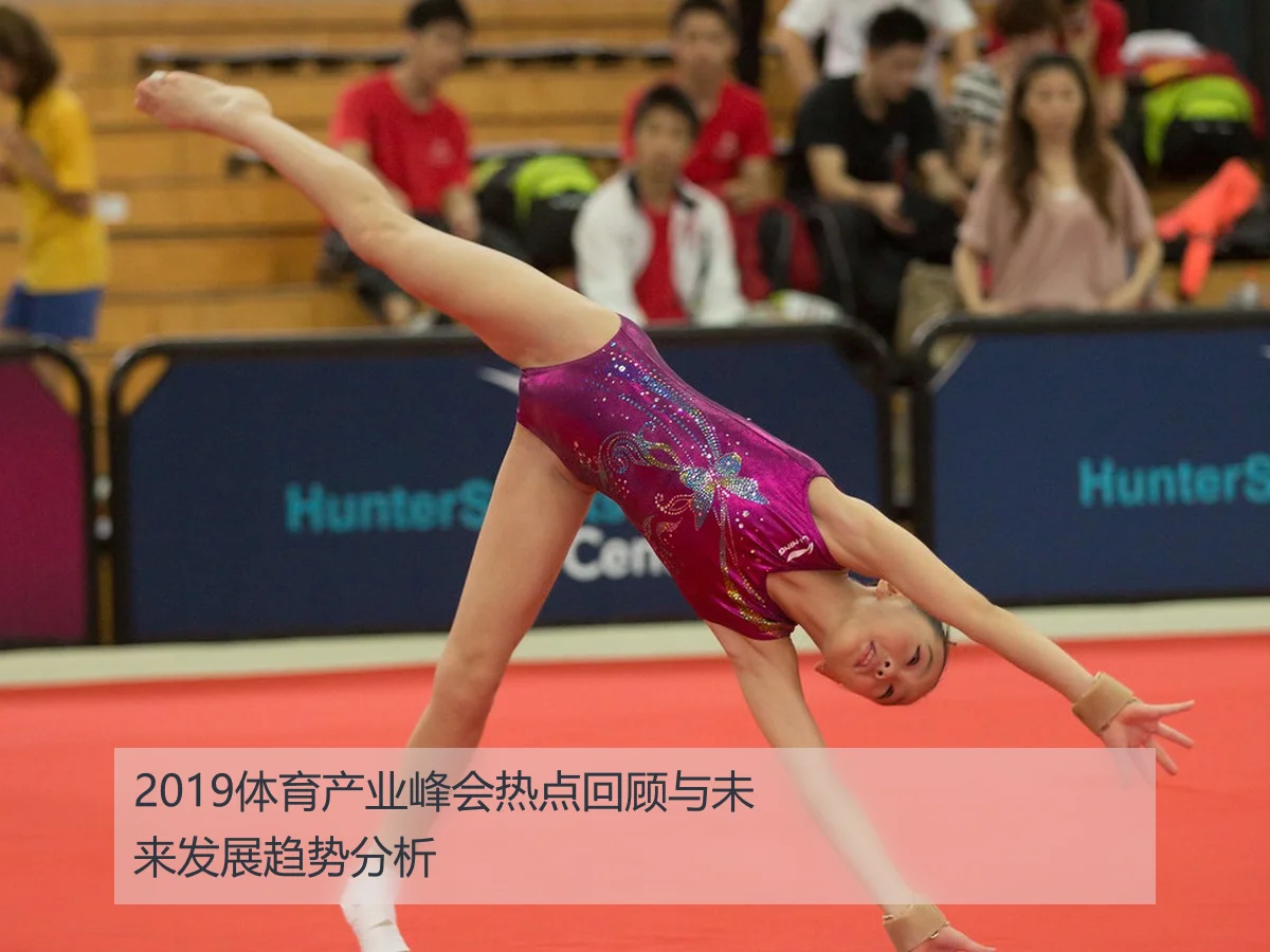 2019体育产业峰会热点回顾与未来发展趋势分析